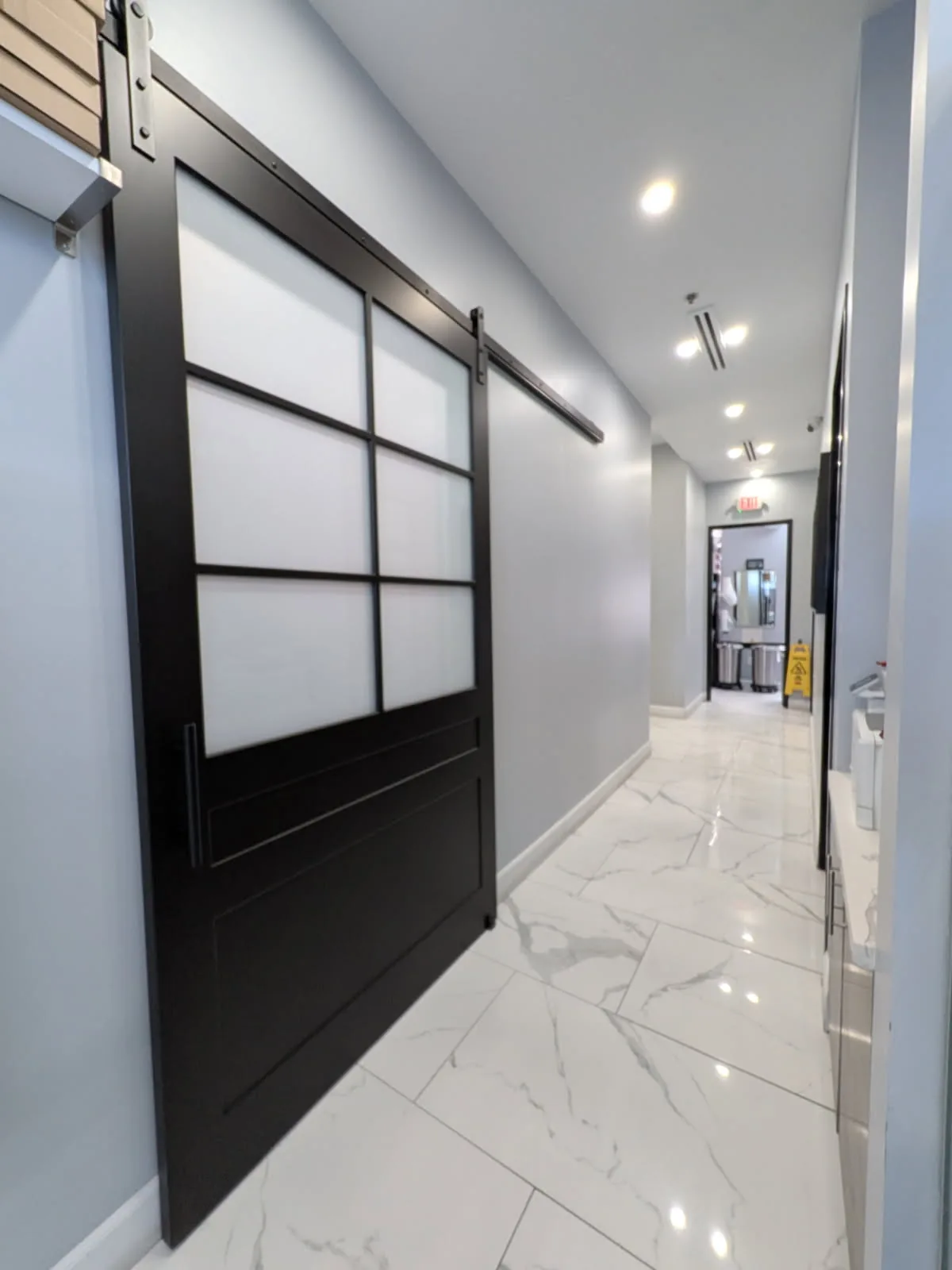 Six-Lite Frosted Glass barn door with two raised lower panels